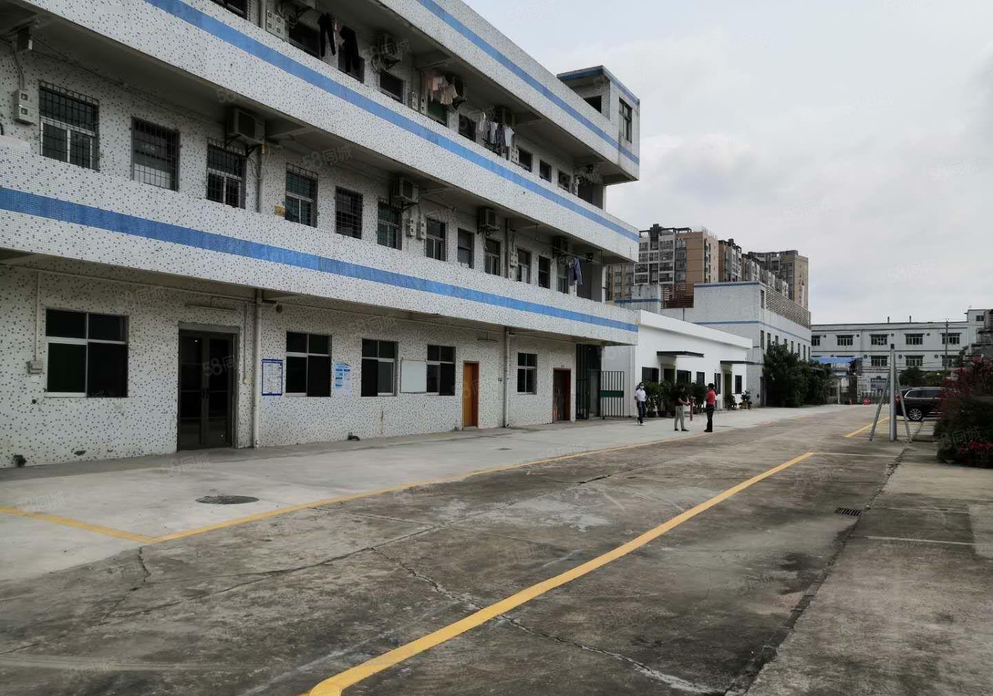 龙岗中心城周边大小钢构独院900到50000平米厂房仓库分租