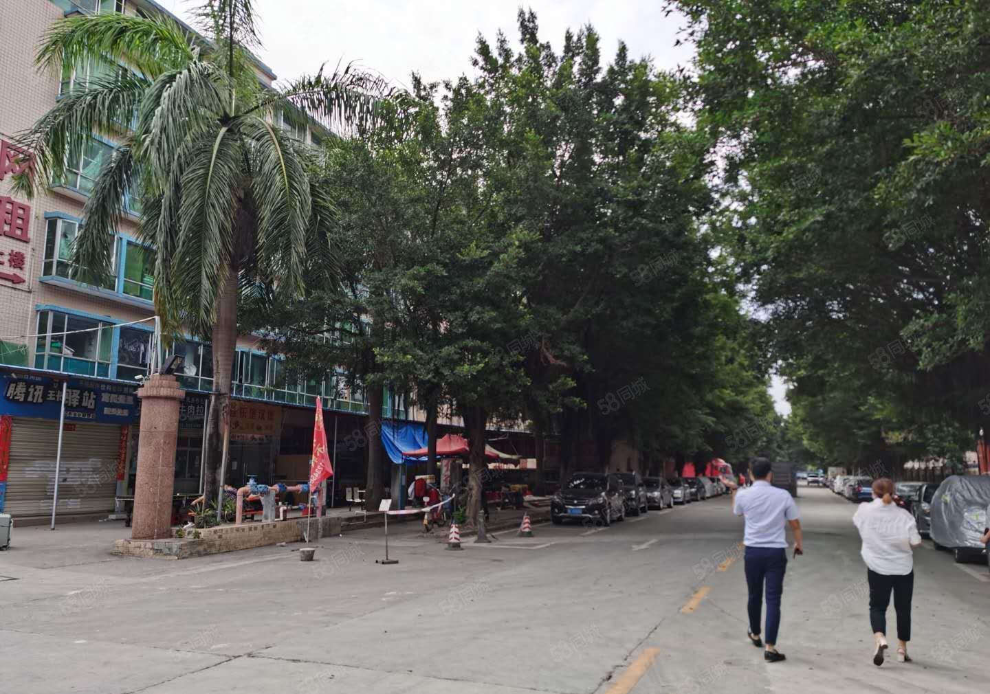 20元起租华南城旁厂房出租仓库招租园区干净漂亮