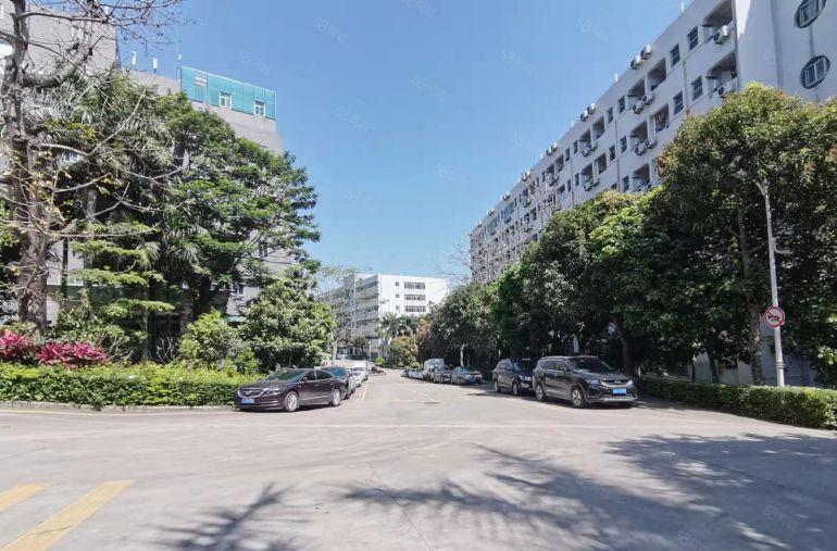 公摊小！价格美丽！坂田雪象500平办公仓库低价出租