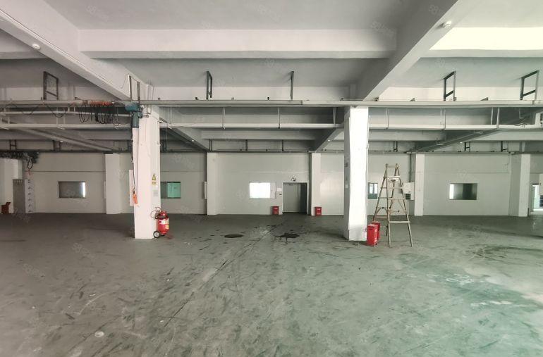 原房东无公摊！龙岗宝龙一楼新出2千平厂房仓库出租5百平起分租