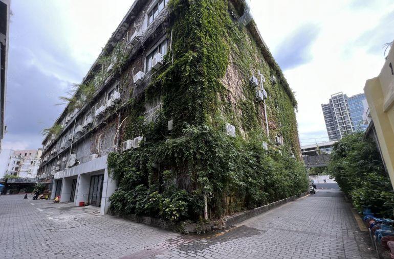 坂田地铁口电商园仓库500平方厂房出租带现成装修办公室好招工