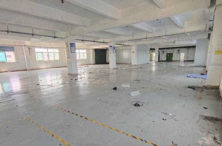 龙岗同乐爱南路边工业区内一楼500平简装仓库电商研发厂房出租