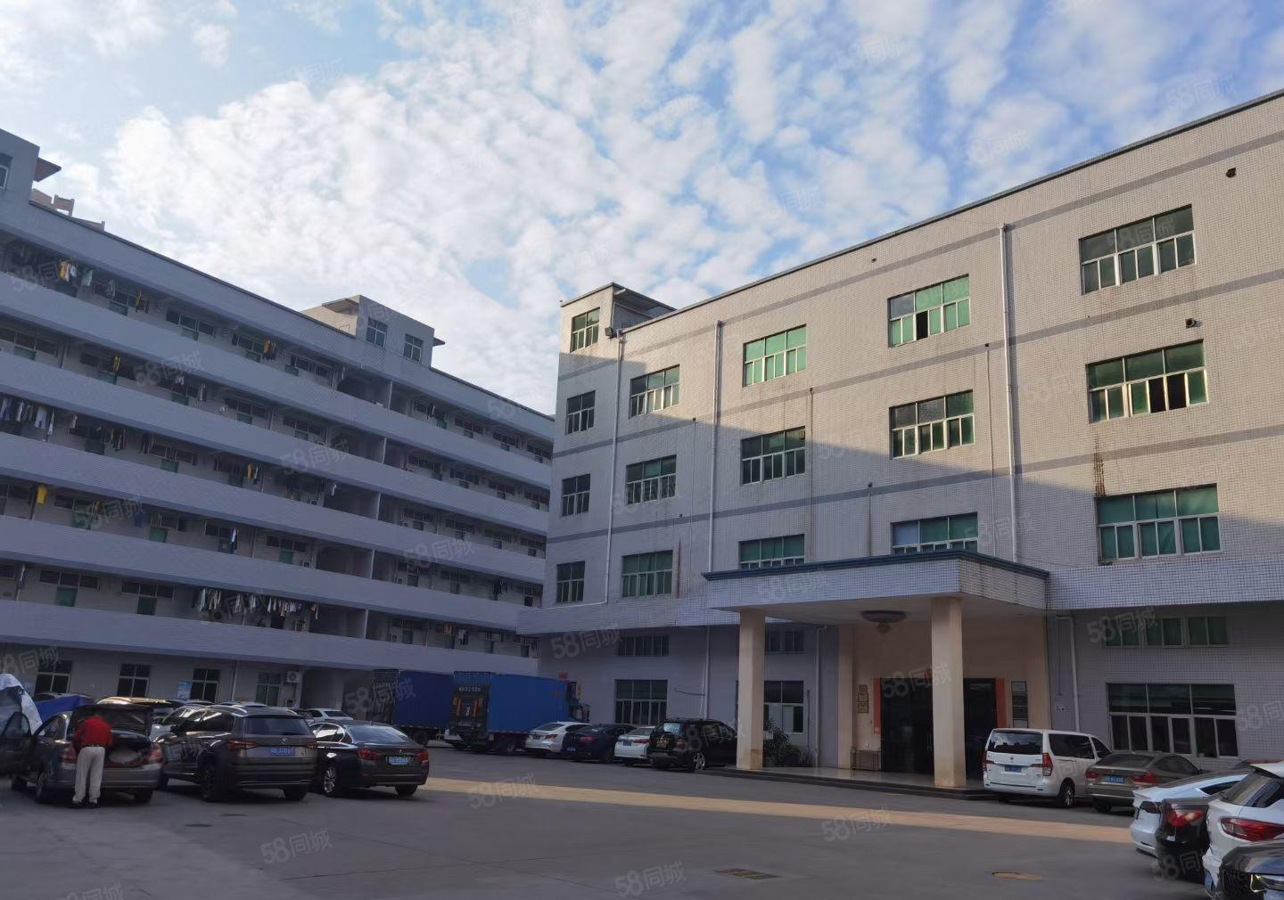 华南城边上木古宝来工业区原房东楼上1500平方出租面积没公摊