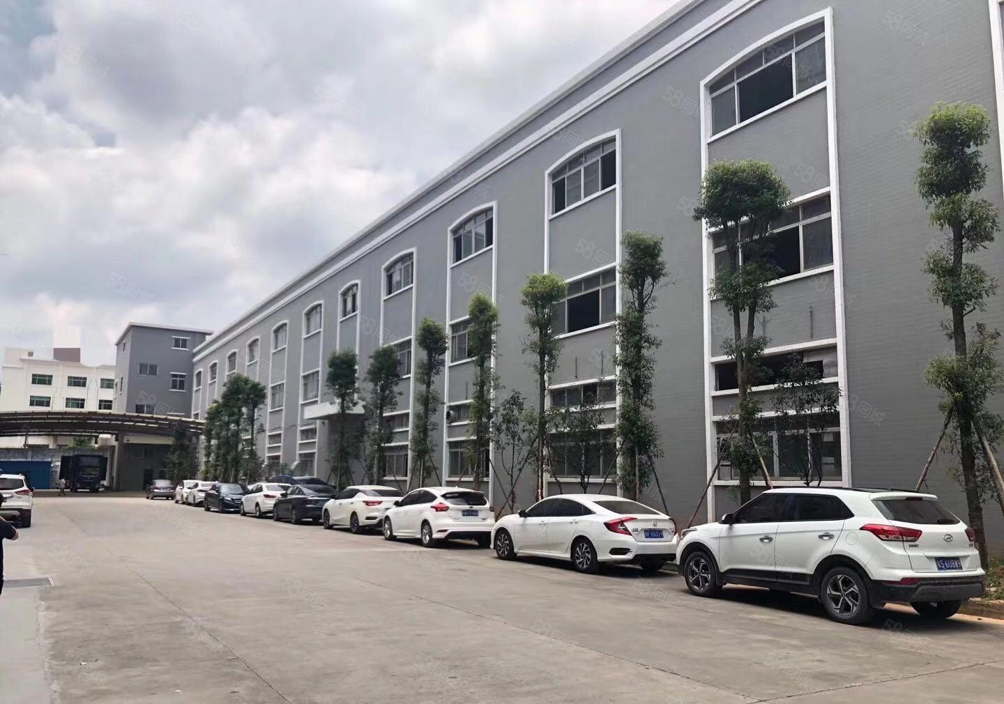 中心城大型工业区新空出2楼500平方带精装修办公室厂房出租