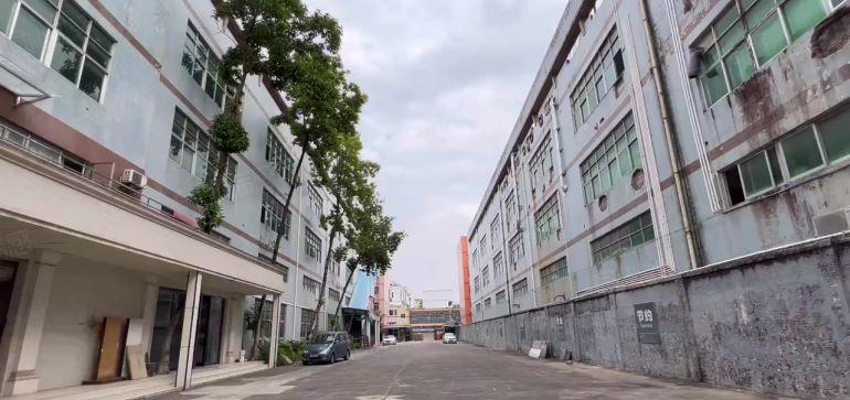 龙西原房东独门独院厂房10000平方仓库出租2000平起分租