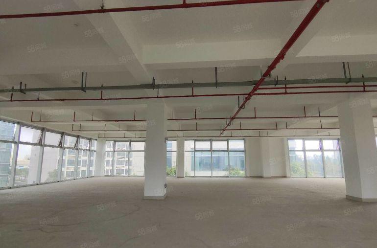 （出租）坂田2400平小独栋 一手原房东 免租期2个月起