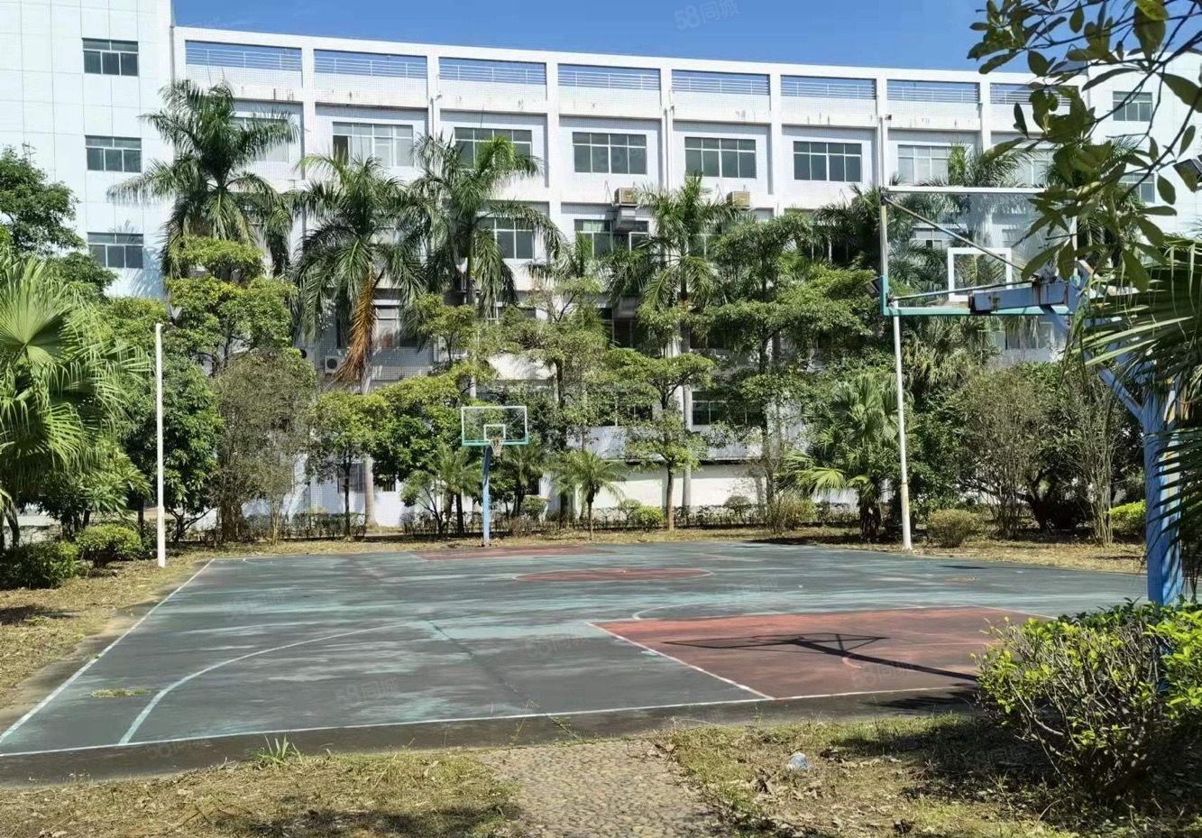 横岗六约工业区12000平独院厂房出租，可办环评，可分租