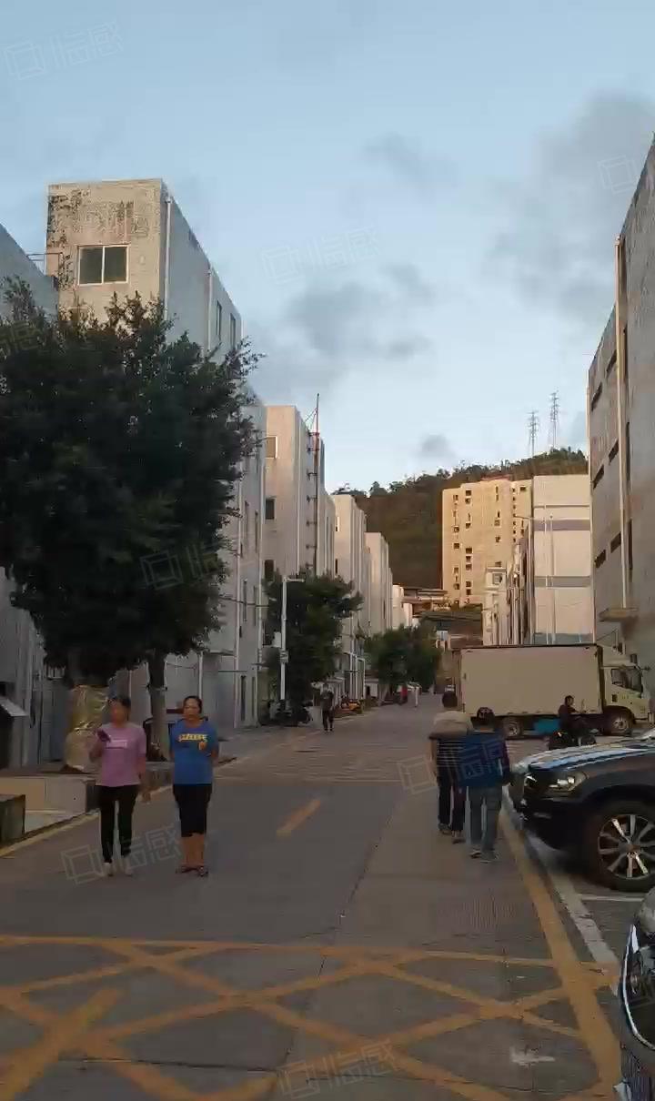 葵涌第三工业区原房东直租（免中介）独院厂房3800平米出租，