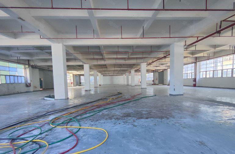 龙岗高新补贴园区对外出租6150平方，符合要求可拿房补。