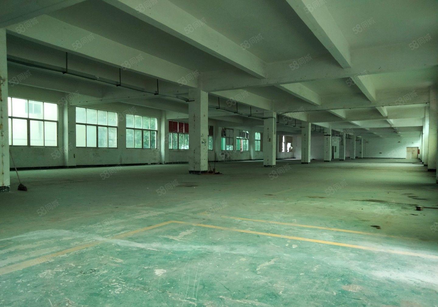 （出租）龙岗区吉祥地铁口原房东独门独院红本精装修大小分租