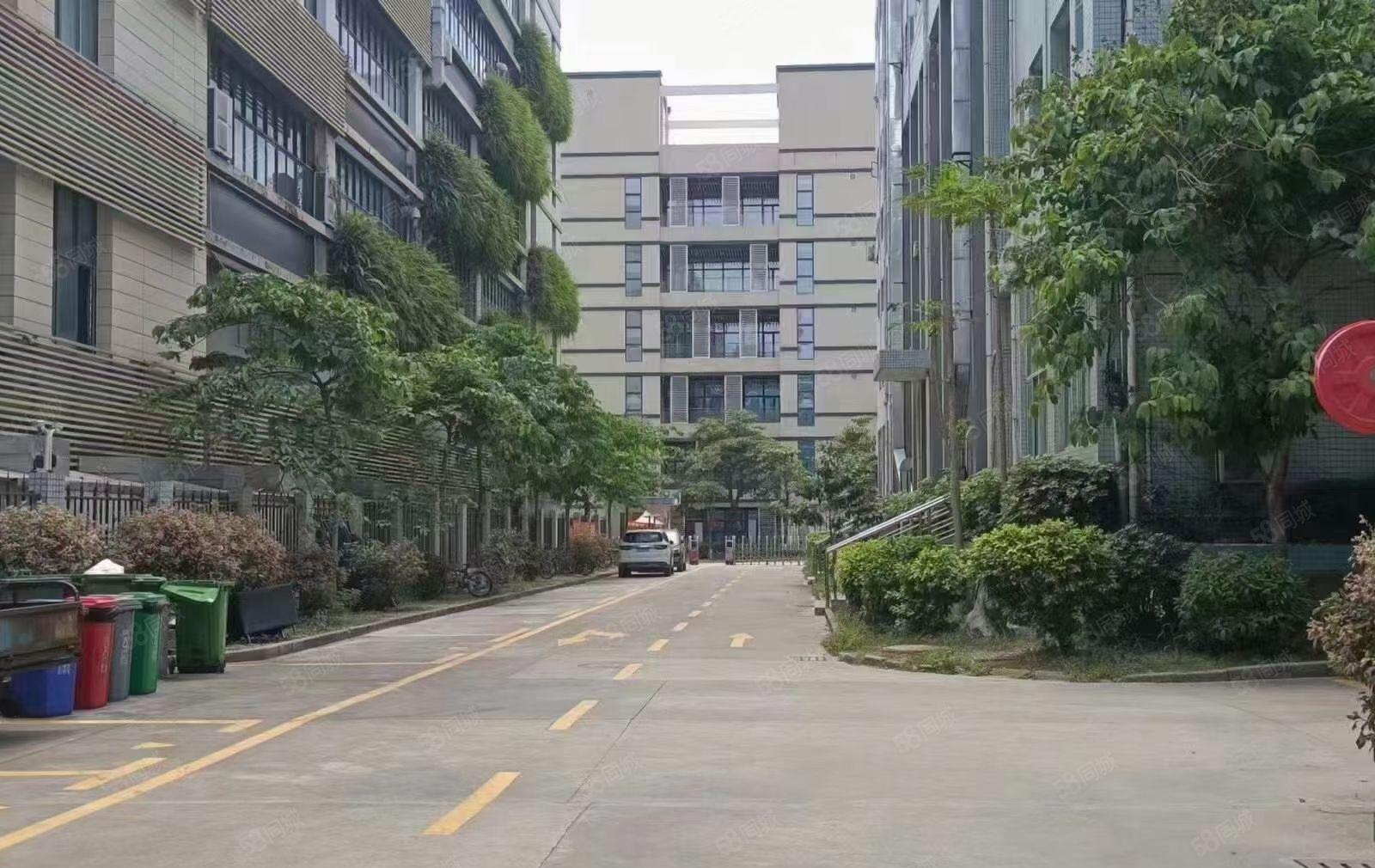 坪地低磷城红本厂房一楼1600平方米楼上1000平方米分租