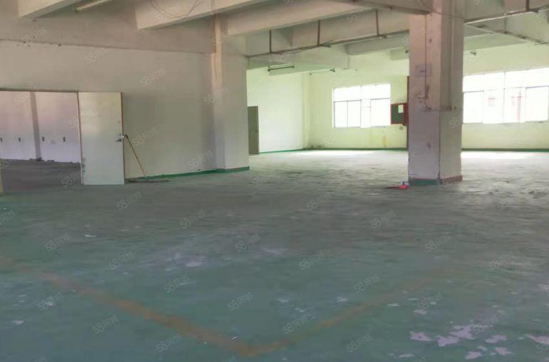 横岗新出298平厂房，层高5米，能进大货柜