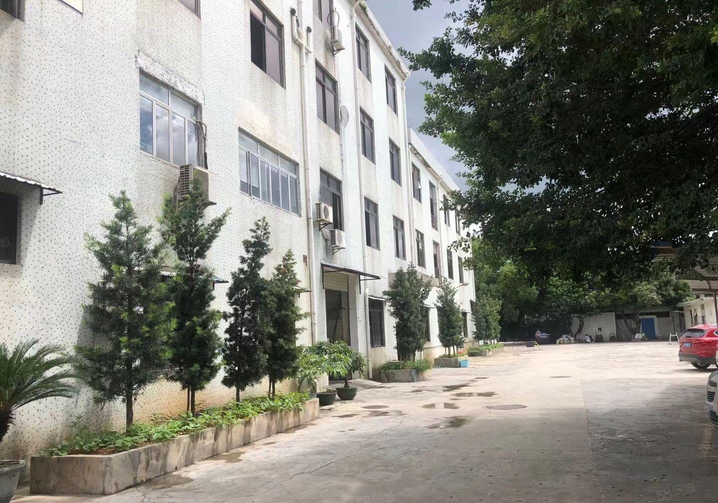 横岗大康新出3000平方带电梯厂房可分租