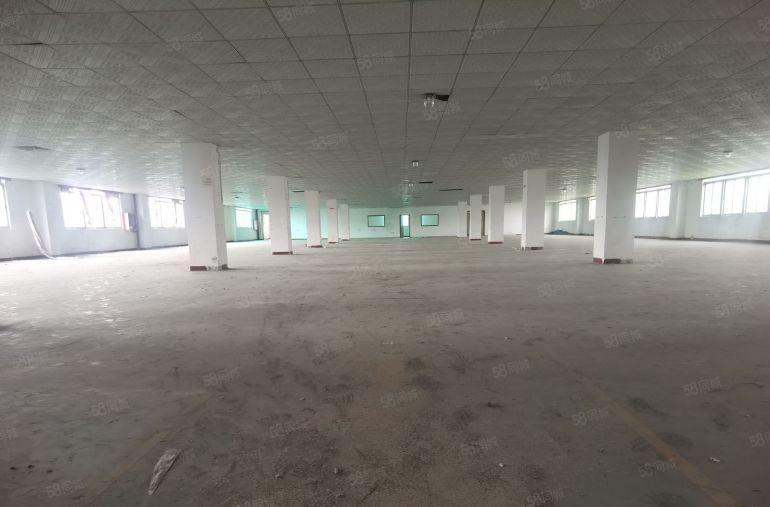 平湖富民工业区独门独院厂房20000平方出租可分租