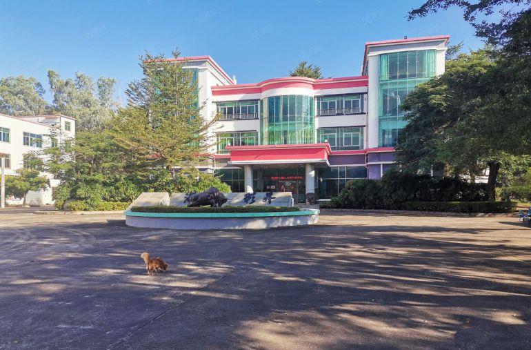 合同十年！龙岗原房东独门独院10000平红本办公厂房低价出租