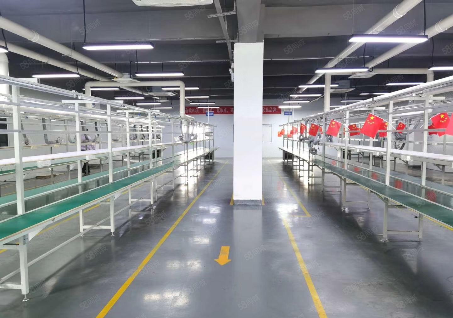 坂田五和天虹附近500平办公电商仓库厂房出租精装修