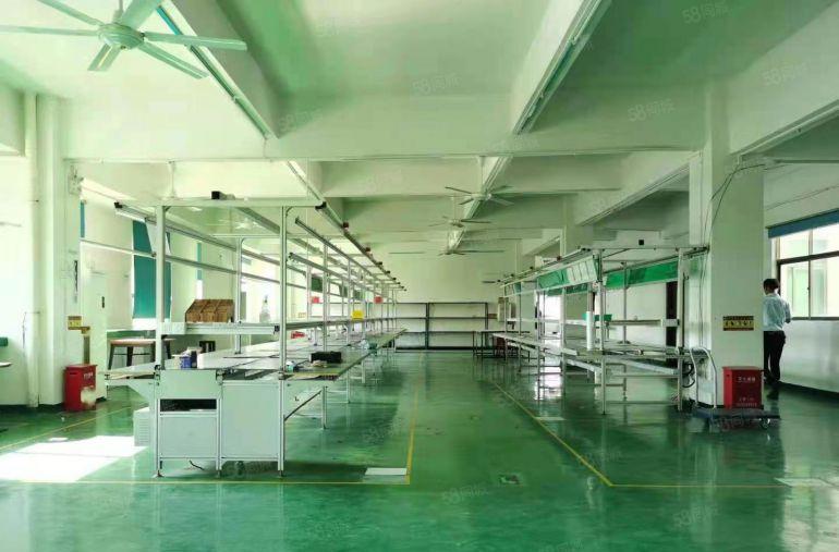 龙岗同乐工业区新出楼上600平现成装修办公室厂房低价出租