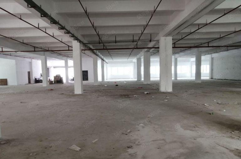 平湖华南工业区5000平独门独院厂房仓库出租 按建筑面积出租