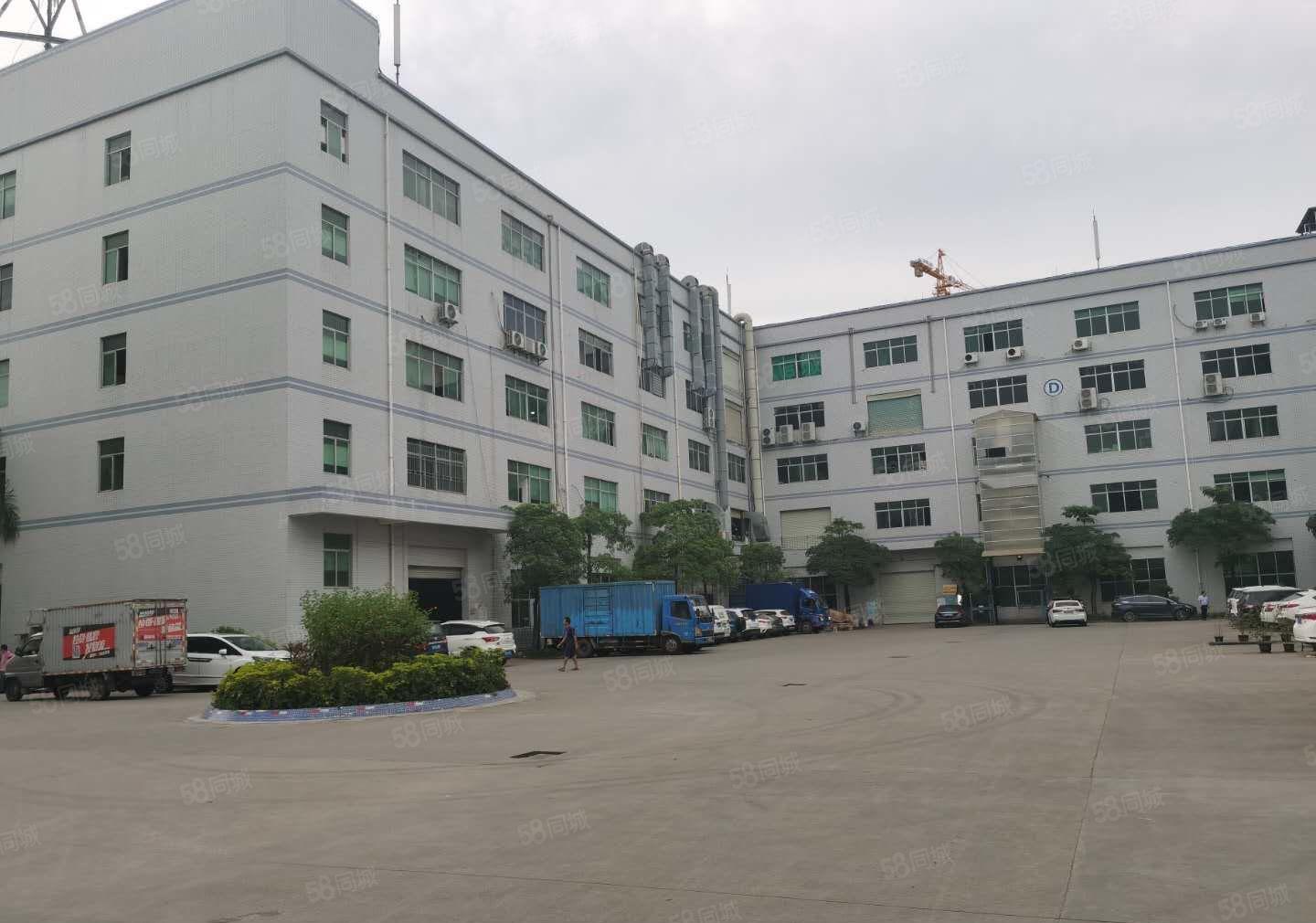 坪地新出1000平至5000平一二楼厂房仓库出租独院大小分租