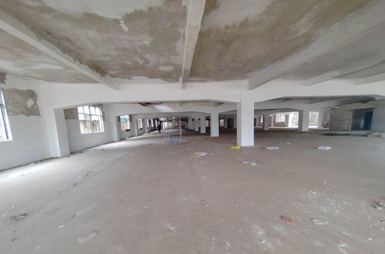 15元特价厂房1000平方平湖标准厂房仓库出租免佣金