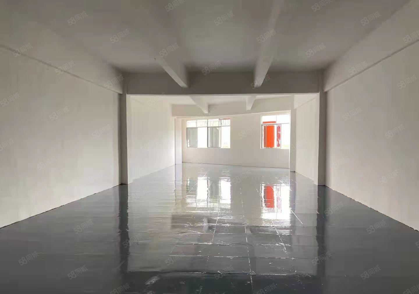 丹竹头地铁站全新装修厂房，大小可分租！