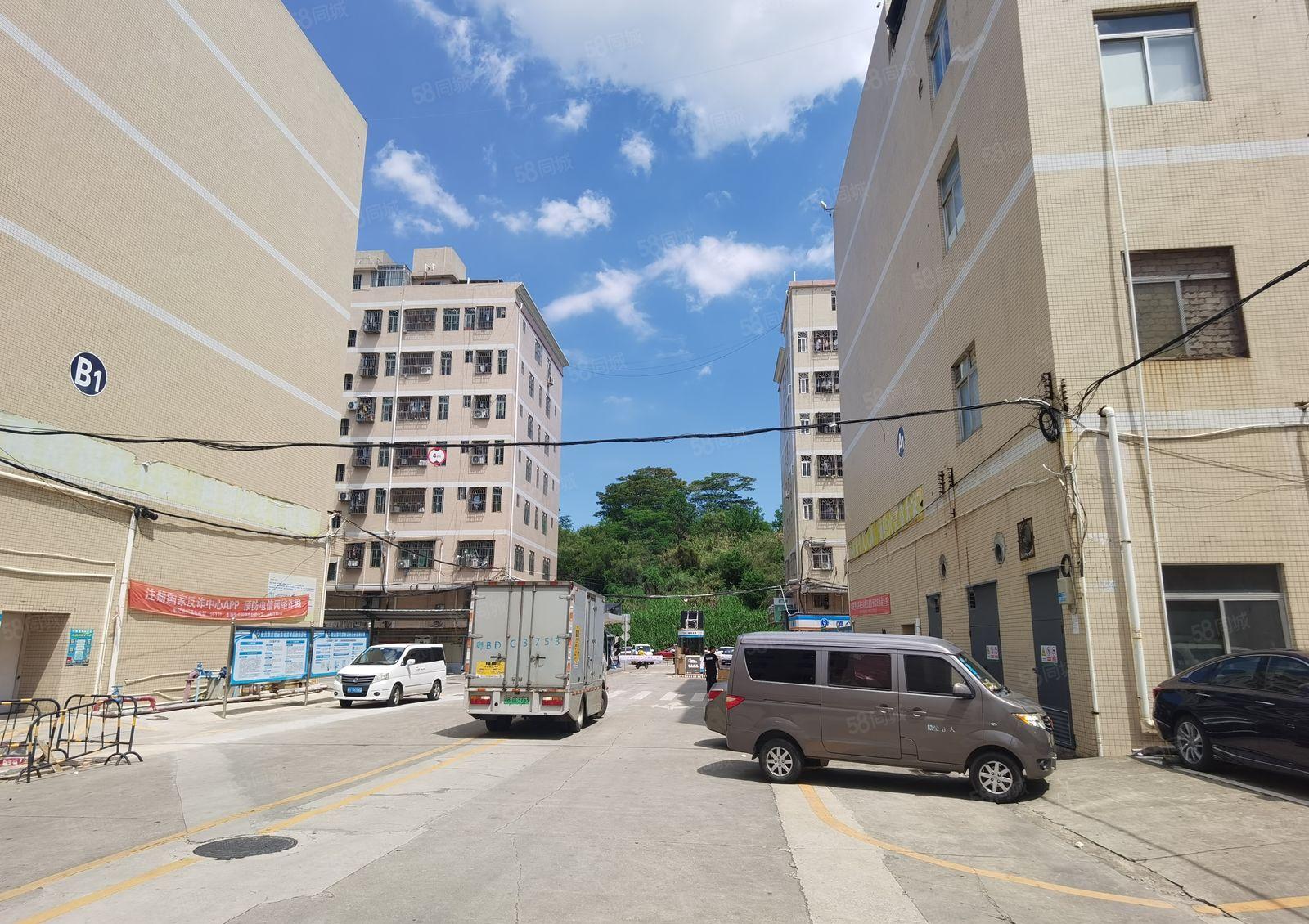 大小面积分租！带装修出租！南联恒裕科技园新出1000平米厂房