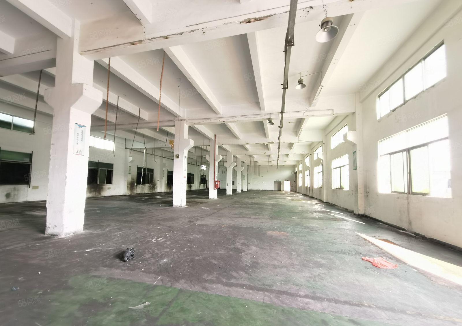 龙岗爱联独门独院厂房5400平加1500平宿舍