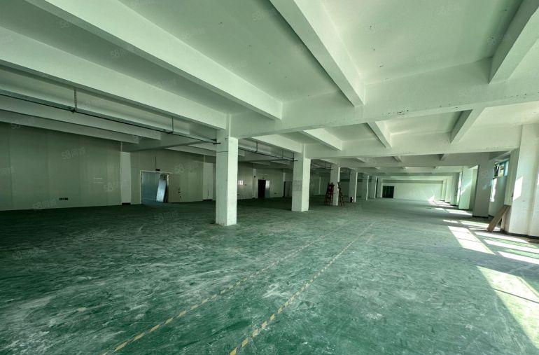 平湖富民工业区楼上整层面积3380平米，带玻璃隔间办公室