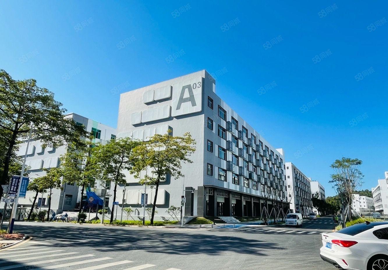 429平起租！龙岗区政府物业20万产业园，厂房出租，公寓包租