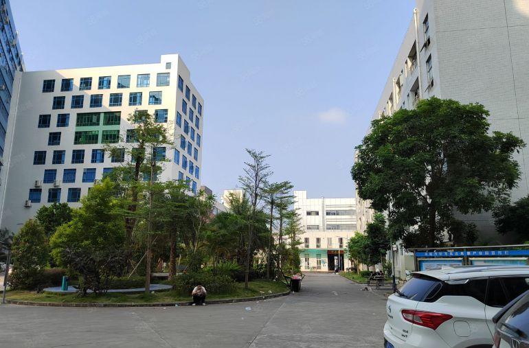 龙岗宝龙高新园区1500平精装修厂房仓库低价出租500起分租