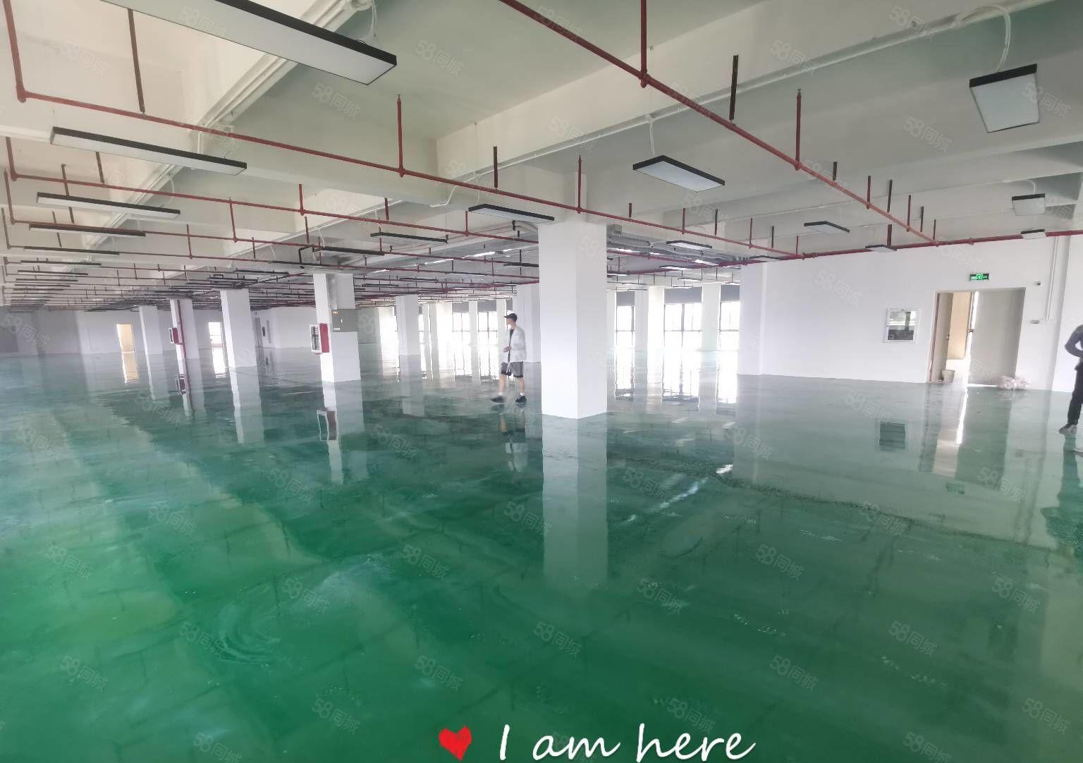 200平分租平湖高新科技园单层2000平研发办公厂房仓库出租