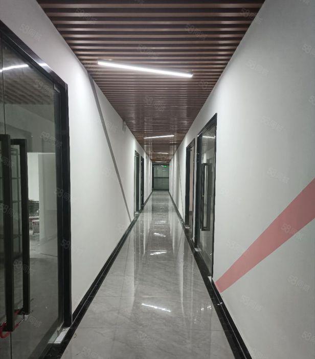 平湖禾花地铁口电商产业园独栋厂房出租5000平办公室仓库分租