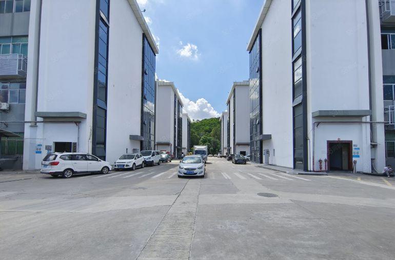 水电齐全带装修坂田科技园新出600平办公仓库厂房低价出租