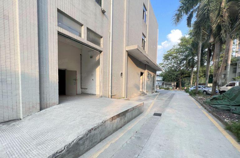 龙岗区中心城一楼300平标准厂房低价出租层高6米空地大原房东