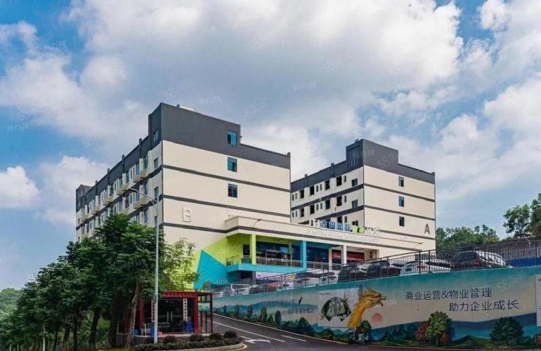 可分租小面积坂田杨美大型创意厂房出租一楼仓库出租