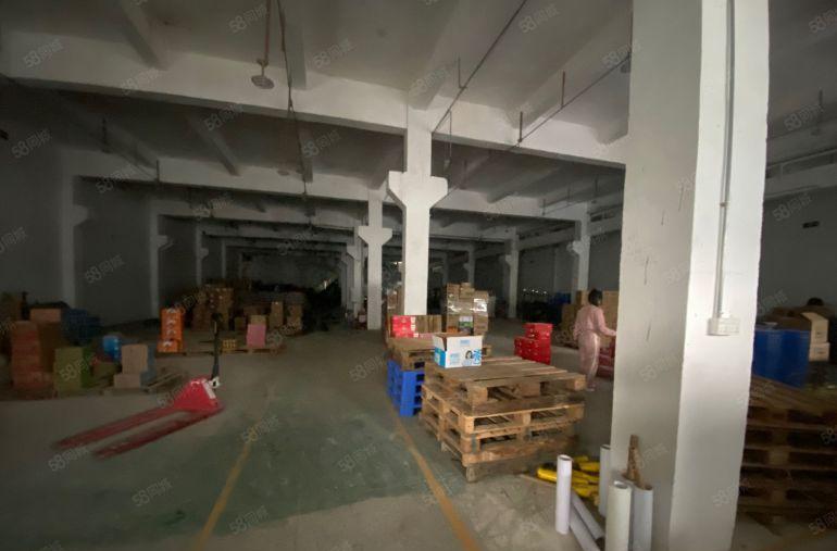 华南城新木位置一楼厂房1800平米，高度7米，租金只要23