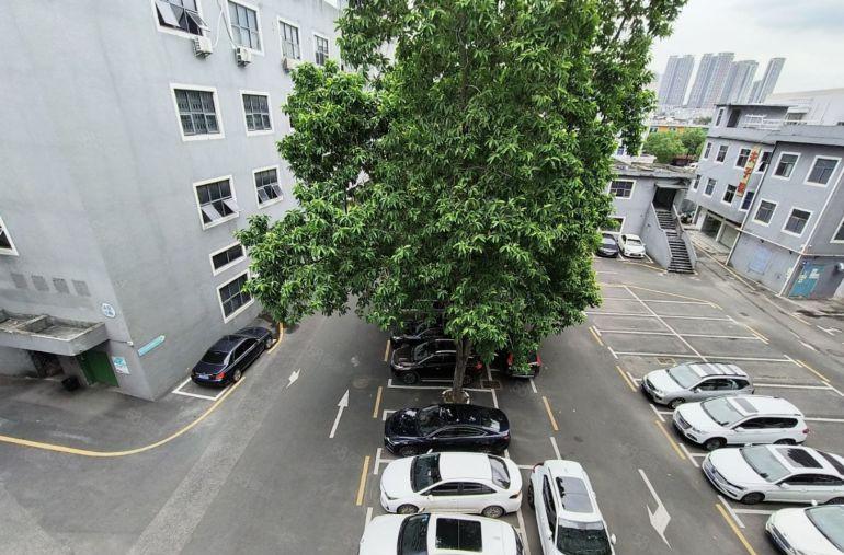 龙岗一楼厂房丨独门独院厂房丨648平方丨层高5.5米丨空地大