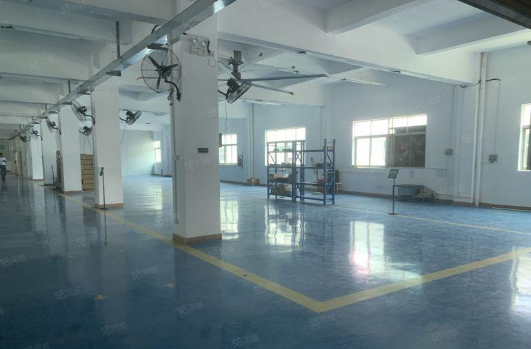 龙岗同乐原房东实际面积3楼1500平厂房仓库出租带全新地坪漆