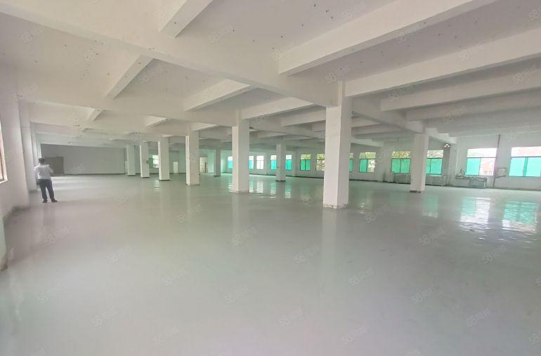 原房东低价!横岗永湖地铁整栋9000平方工业园 库房 小型厂