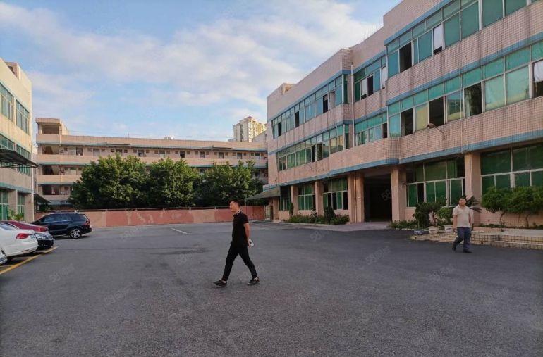 500平起租平湖独院新出一楼2200平方厂房仓库出租大小分租