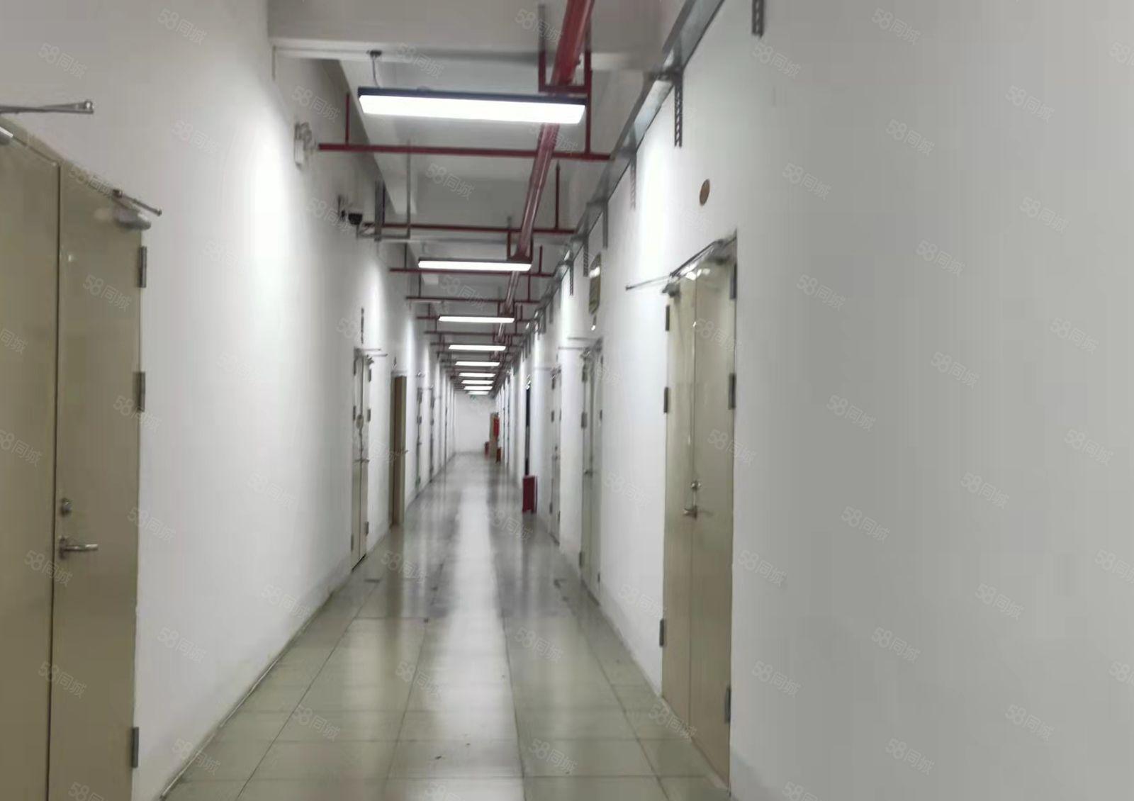 塘坑地铁站新出200平厂房，价格实惠