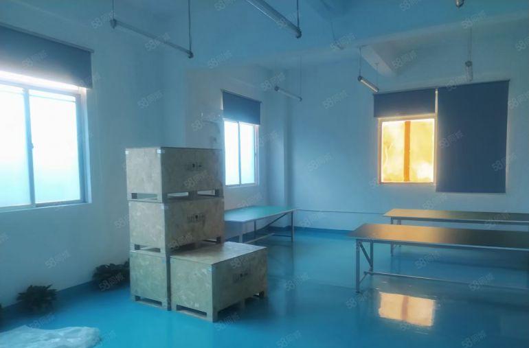 龙岗坪地8000平原房东精装厂房仓库出租可分租