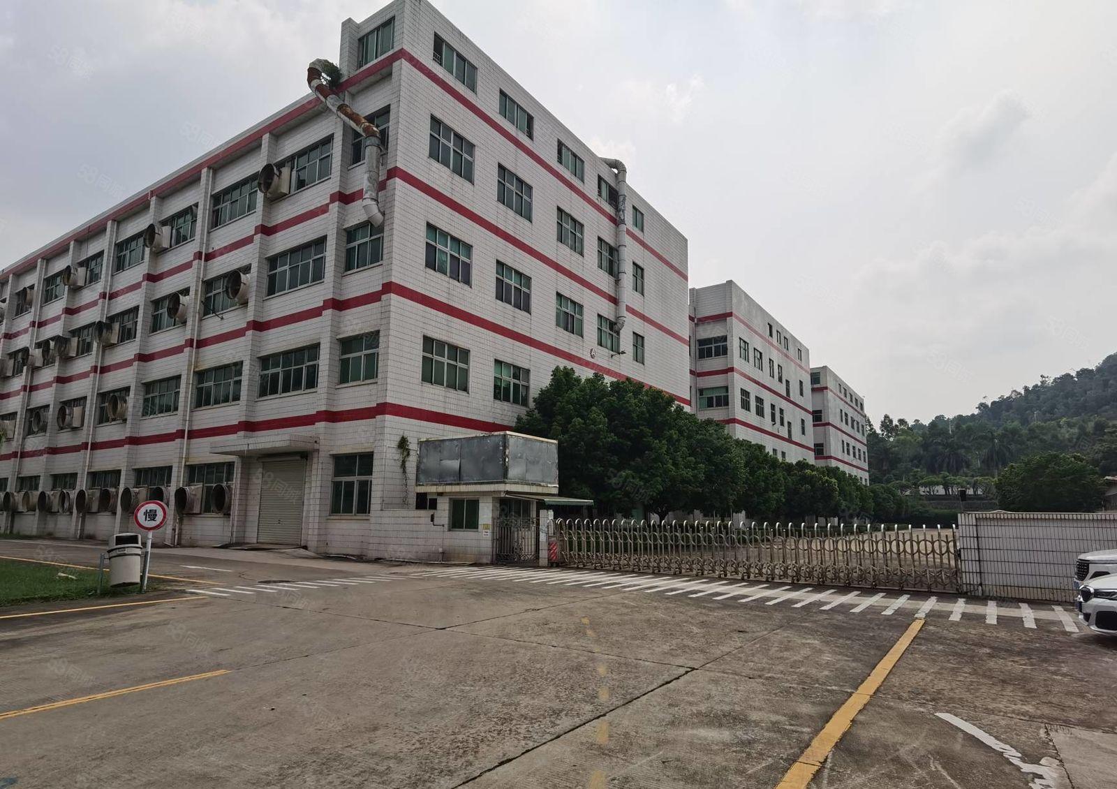 龙岗横岗六约大型科技园原房东楼上2000平方精装修厂房出租