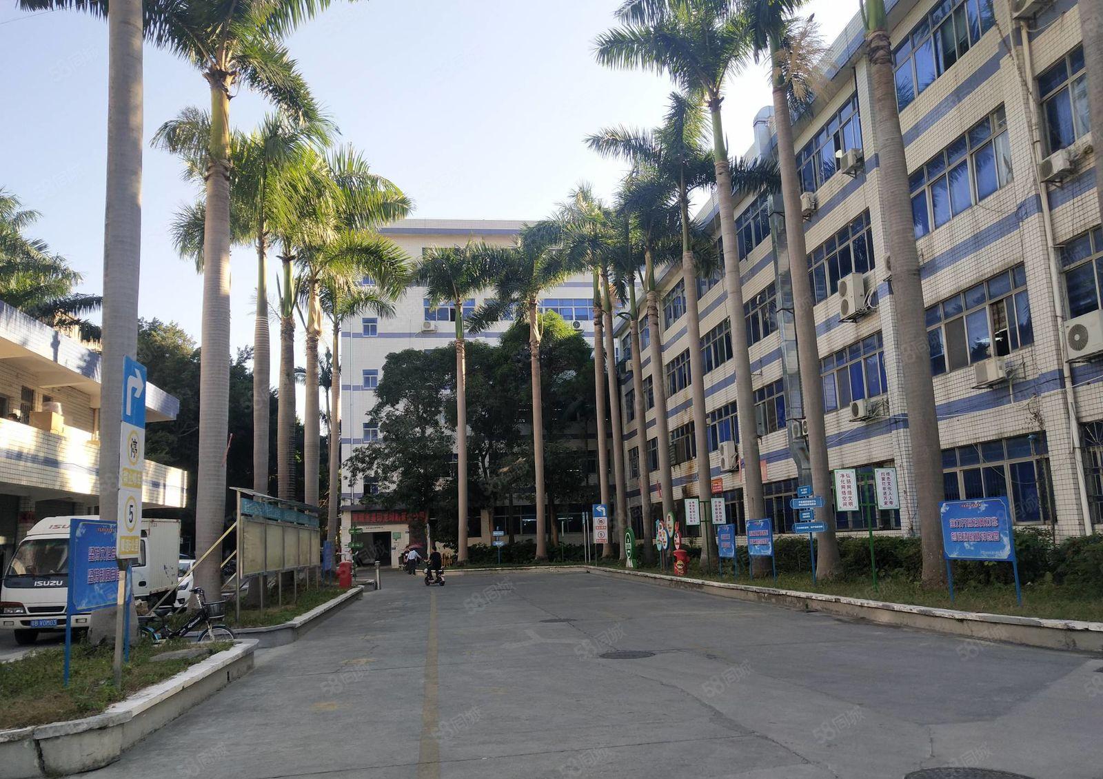 100平起分租坂田原房东上雪工业区办公仓库厂房出租1000平