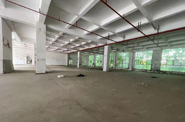 横岗园山独门独院直租特价15元原房东8000平空地