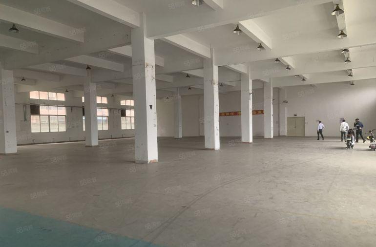 龙岗中心城龙岗大道边独院厂房12000平厂房仓库出租价格便宜