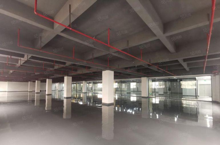 坂田杨美地铁口电商园100到2000平办公仓库厂房出租