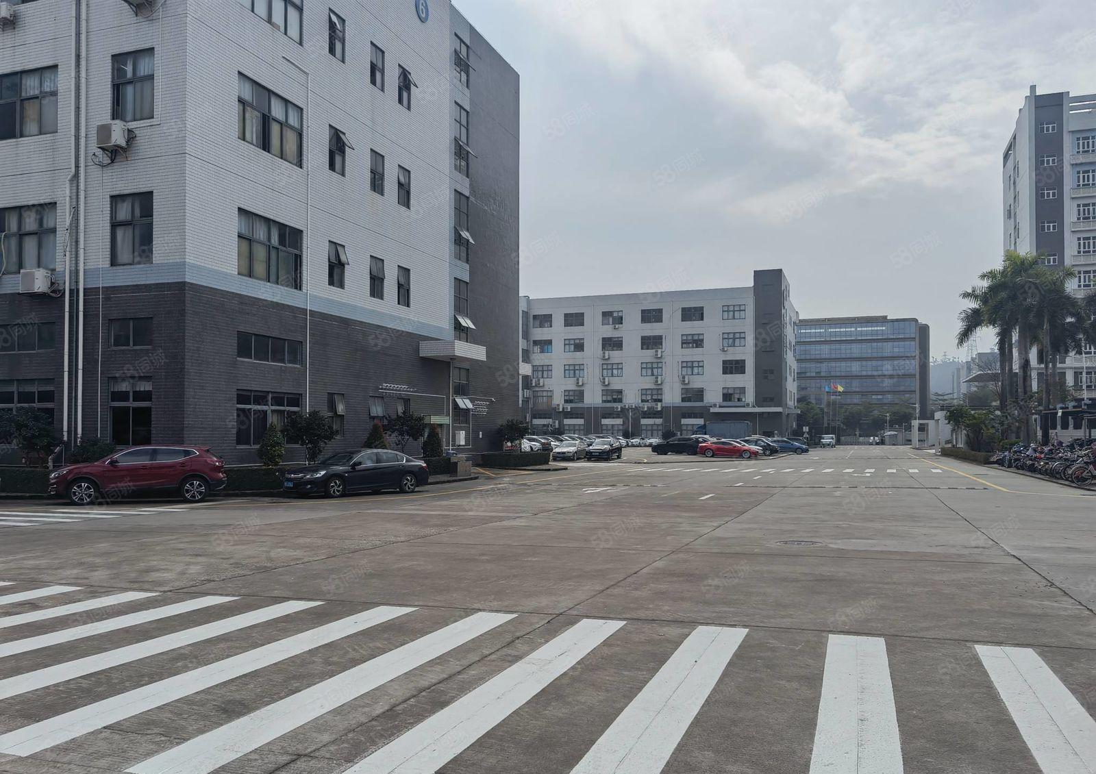 龙岗新出1000平至8000平厂房仓库一二楼出租独院大小分租