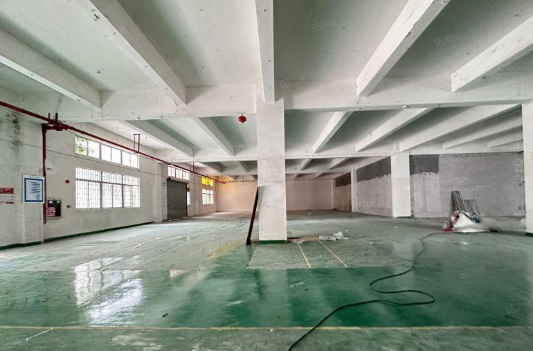 龙岗南联工业区一楼3000平仓库厂房出租 300平起租