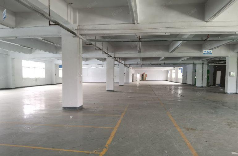 龙岗宝龙同乐工业区红本厂房2600平出租场地大易招工可办环评